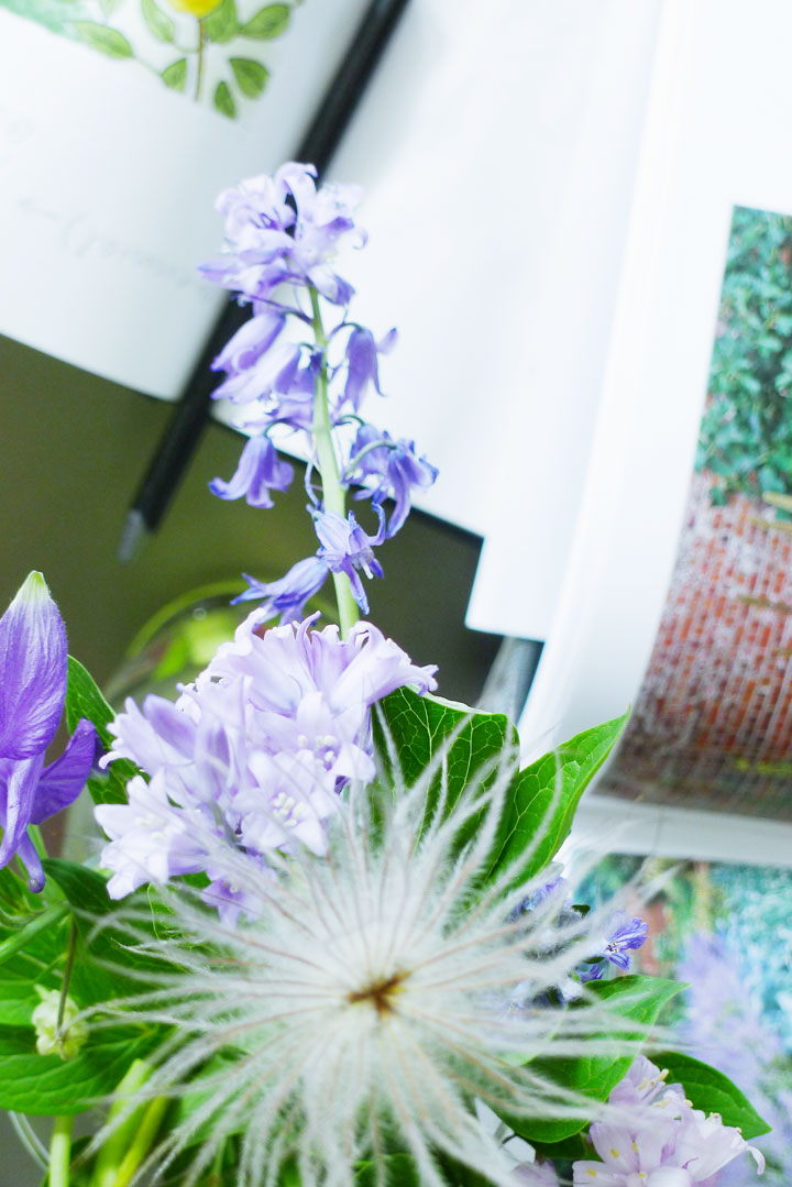 Hallo bei sterndolde,